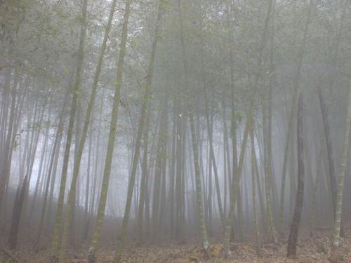 雨過天晴，我走天梯