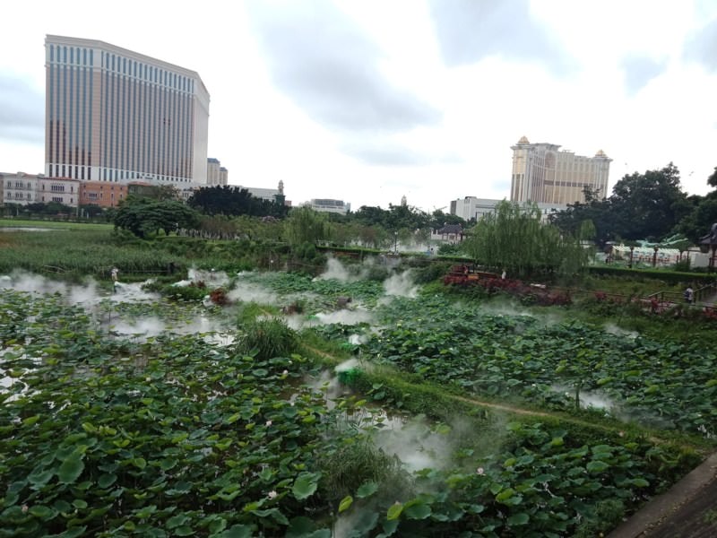 愛住飯店的人可以選澳門-Day3 旅遊塔=>官也街=>龍環葡韻荷花節=>永利皇宮