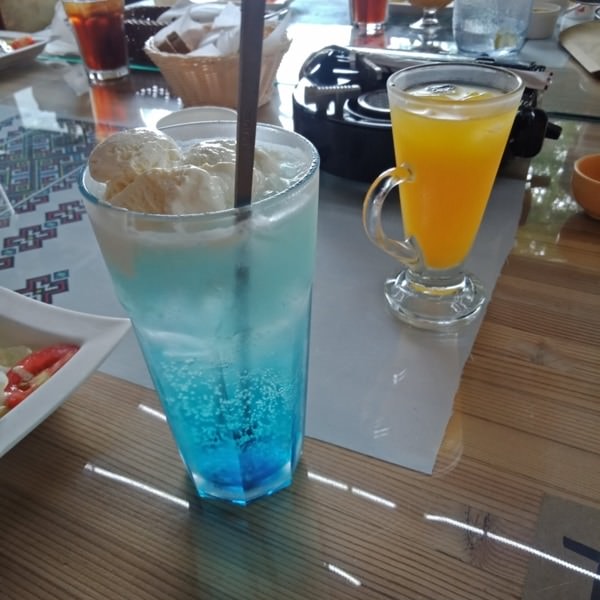 適合三代同遊的俄羅斯料理餐廳，順便東勢林業文化園區賞荷去!