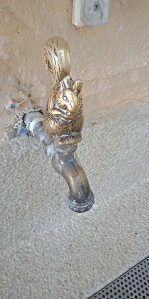 雲林可以這樣玩:登高望遠下午茶，順遊玫瑰莊園與落羽松!