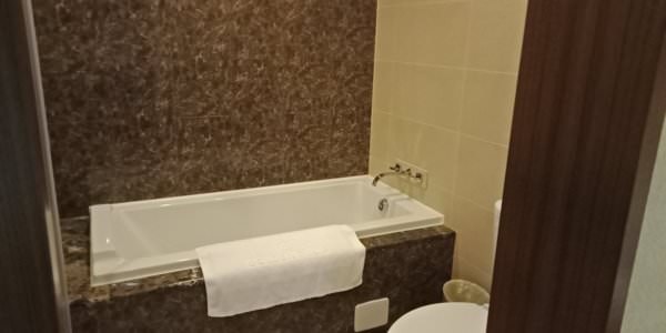 白色情人節看動物玩溜滑梯住親子房之竹苗兩日遊-入住苗栗馥藝金鬱金香酒店
