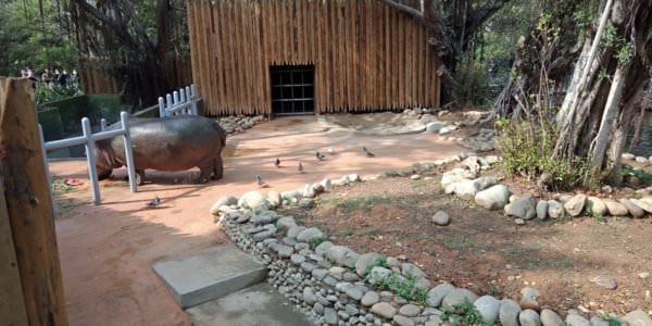 白色情人節看動物玩溜滑梯住親子房之竹苗兩日遊-入住苗栗馥藝金鬱金香酒店