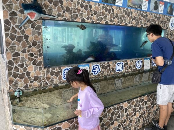 運動會補假台南兩日遊(下)-夏都城旅自助午餐與住宿、安平定情碼頭德陽艦園區、漁光島、王氏魚皮、茂記黑豆花