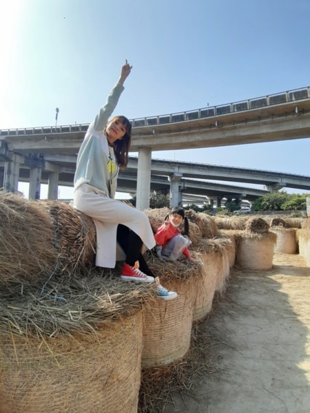 迎接2021，新的一年嘉義元旦行(上)-大埤稻草藝術季、新港奉天宮、新港公園、阪陶窯、入住南院旅墅
