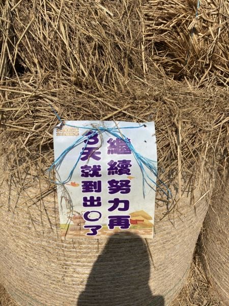迎接2021，新的一年嘉義元旦行(上)-大埤稻草藝術季、新港奉天宮、新港公園、阪陶窯、入住南院旅墅