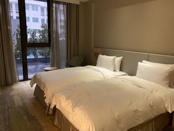 迎接2021，新的一年嘉義元旦行(下)-南院旅墅介紹、紫雲寺溜滑梯、嘉義公園、kano、愛情大草原、魷魚興、長興圓仔冰