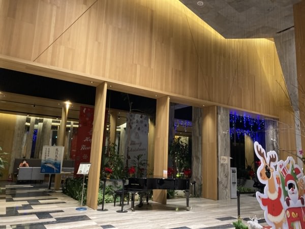 迎接2021，新的一年嘉義元旦行(下)-南院旅墅介紹、紫雲寺溜滑梯、嘉義公園、kano、愛情大草原、魷魚興、長興圓仔冰