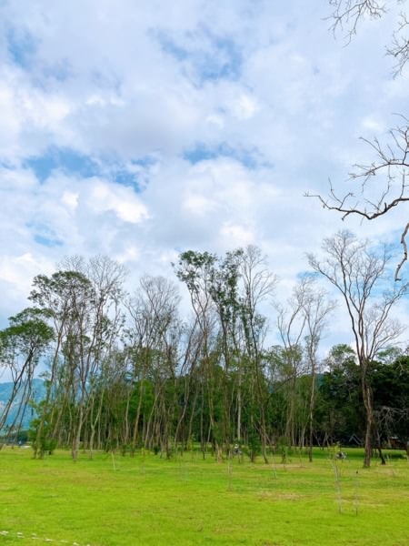 2021大埔水庫節兩日遊-原來大埔這麼美!(下)入住大埔農情渡假休閒中心，採竹筍，河濱餐廳，水庫節充實滿滿!