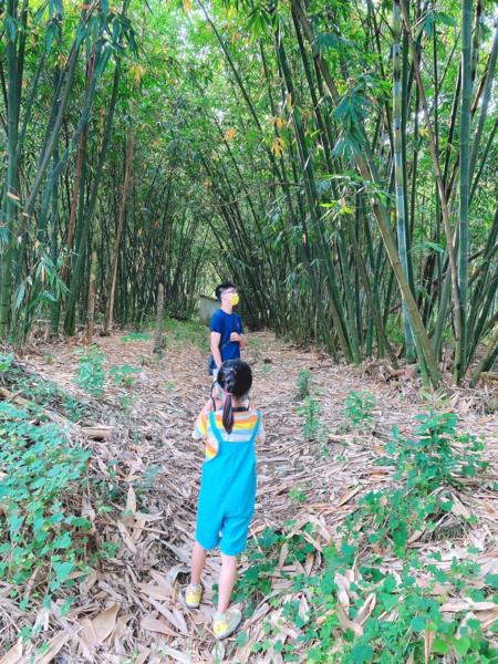 2021大埔水庫節兩日遊-原來大埔這麼美!(下)入住大埔農情渡假休閒中心，採竹筍，河濱餐廳，水庫節充實滿滿!