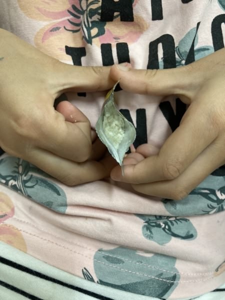 【淳軒真益生菌】-益菌三角，包裝用心，藥師媽媽做給全家人吃的益生菌，來自母親對孩子永無止盡的愛。