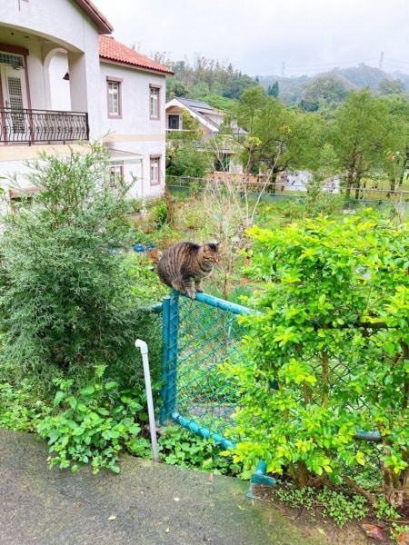 這是一趟關於人生選擇的旅行-新竹峨嵋+苗栗三灣兩日遊-how客吧轉屋、入住遇見台灣百合民宿
