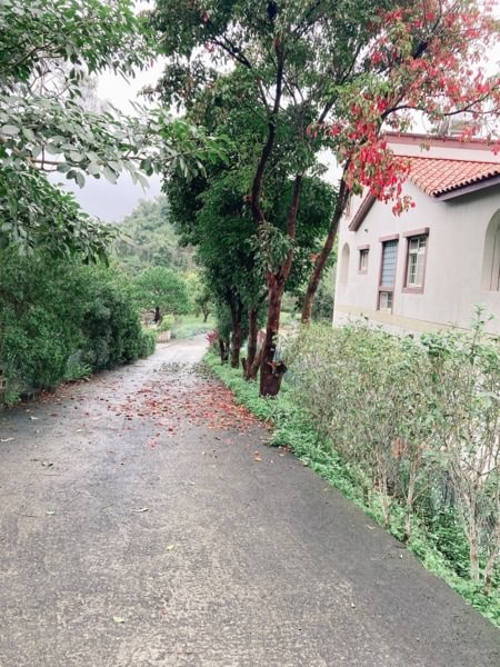 這是一趟關於人生選擇的旅行-新竹峨嵋+苗栗三灣兩日遊-how客吧轉屋、入住遇見台灣百合民宿