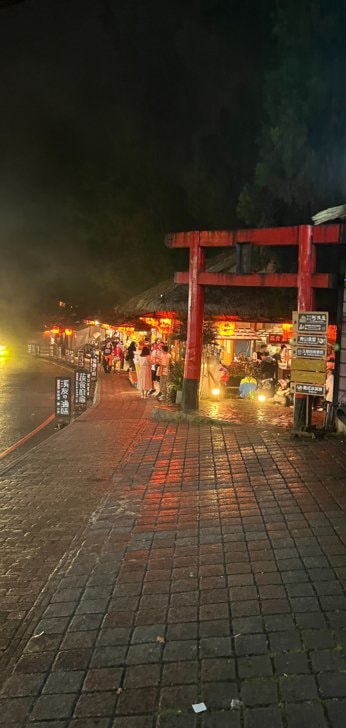 南投溪頭的愜意，住一晚才能體會。土庫怪人花枝鱔魚麵、長興圓仔冰、溪頭妖怪村、車籠埔斷層保存園區，名間親子生態園區，入住金台灣山莊。
