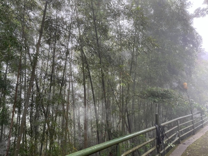 南投溪頭的愜意，住一晚才能體會。土庫怪人花枝鱔魚麵、長興圓仔冰、溪頭妖怪村、車籠埔斷層保存園區，名間親子生態園區，入住金台灣山莊。