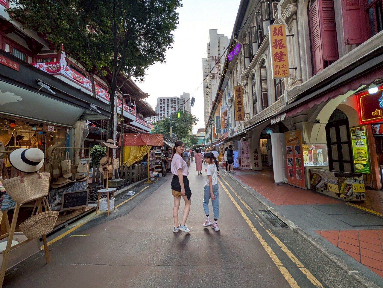 新加坡市區巡禮【阿拉伯區】【牛車水區】【小印度區】一次走訪三大區域,享受新加坡獨有的多元文化。最喜歡阿拉伯區,超級好逛。 - 第18張圖