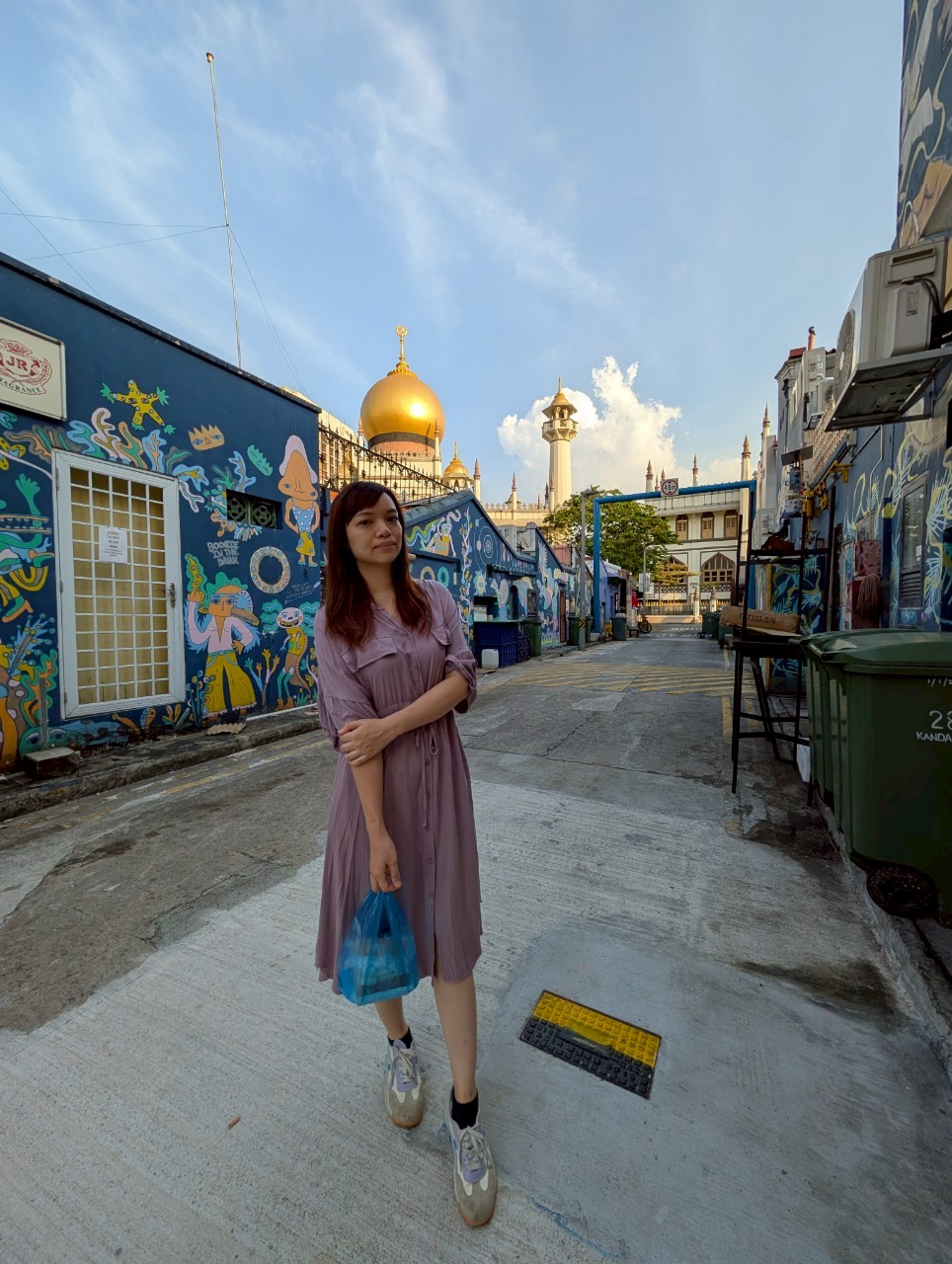 新加坡市區巡禮【阿拉伯區】【牛車水區】【小印度區】一次走訪三大區域,享受新加坡獨有的多元文化。最喜歡阿拉伯區,超級好逛。 - 第3張圖