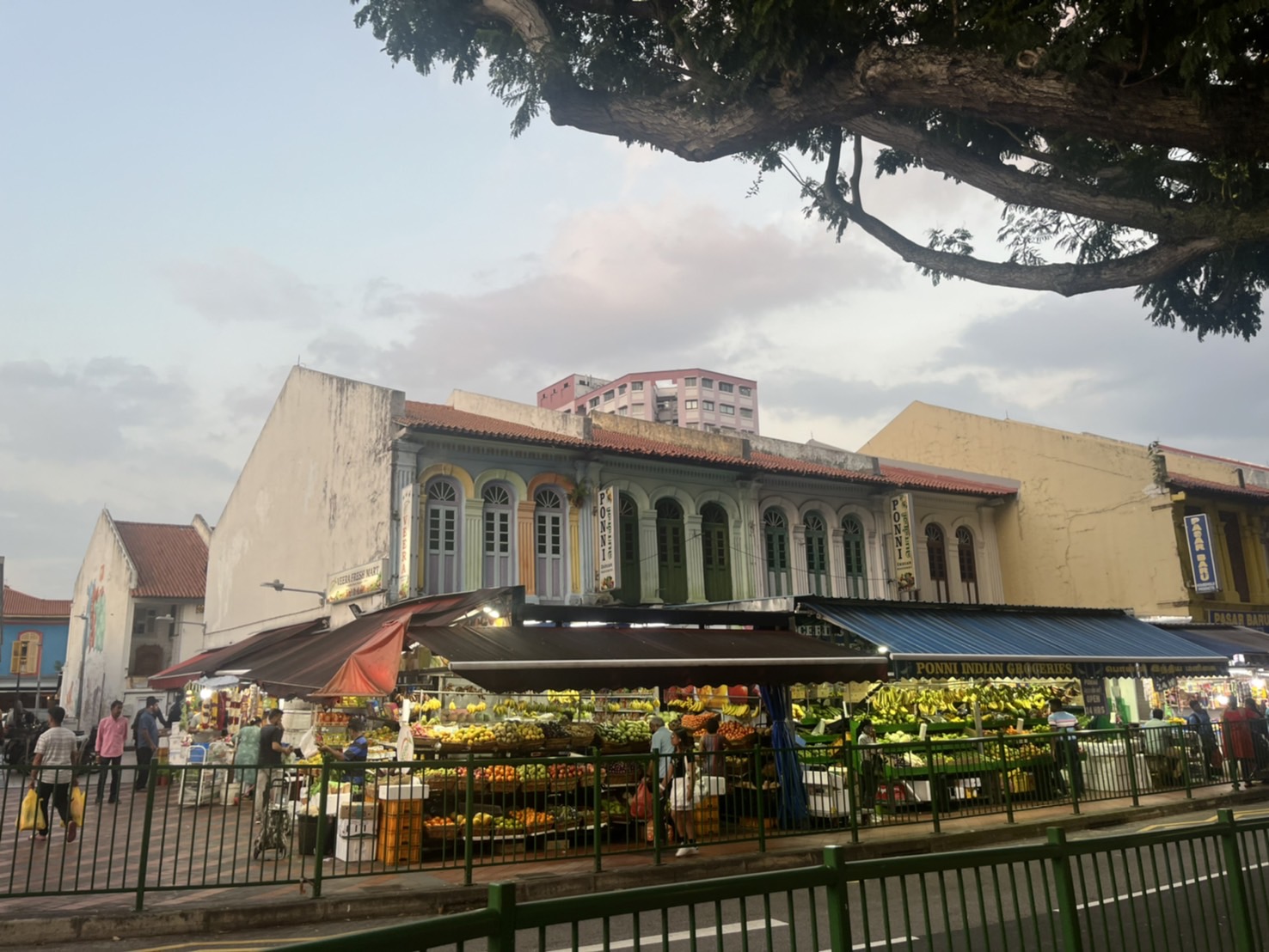 新加坡市區巡禮【阿拉伯區】【牛車水區】【小印度區】一次走訪三大區域,享受新加坡獨有的多元文化。最喜歡阿拉伯區,超級好逛。 - 第33張圖