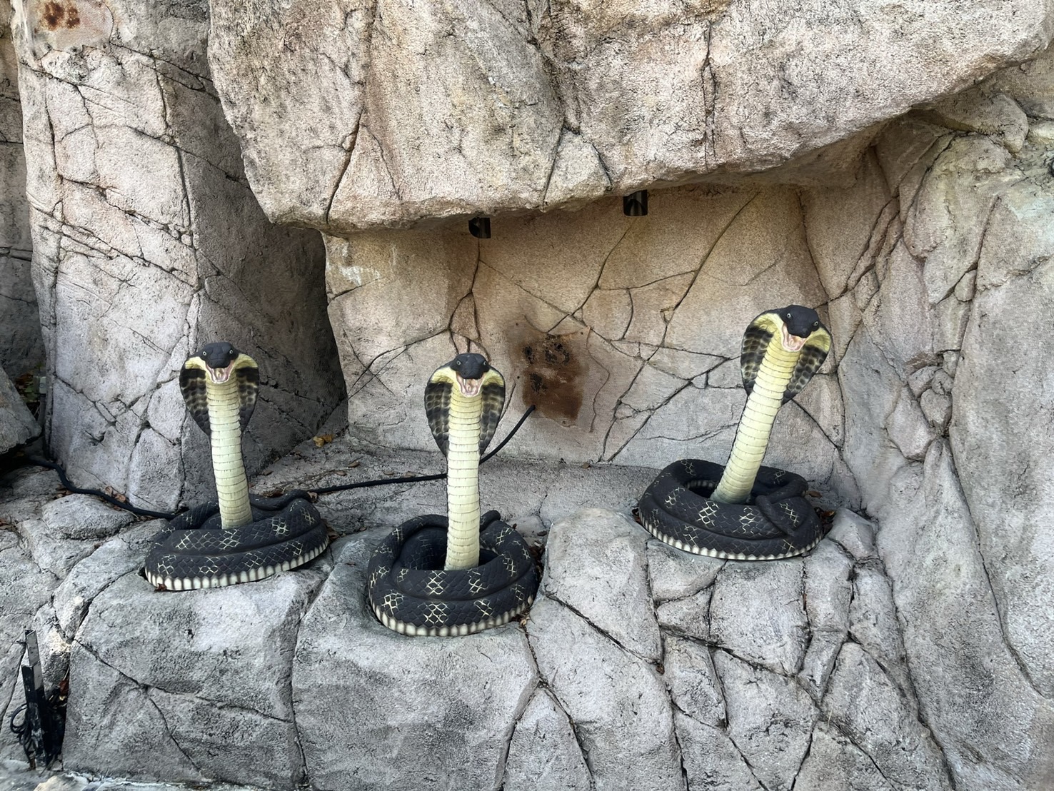 新加坡親子景點【新加坡環球影城】-亞洲第二座環球影城,七大主題園區。走進電影的魔法王國,園區大小剛好,一天就可破關! - 第16張圖