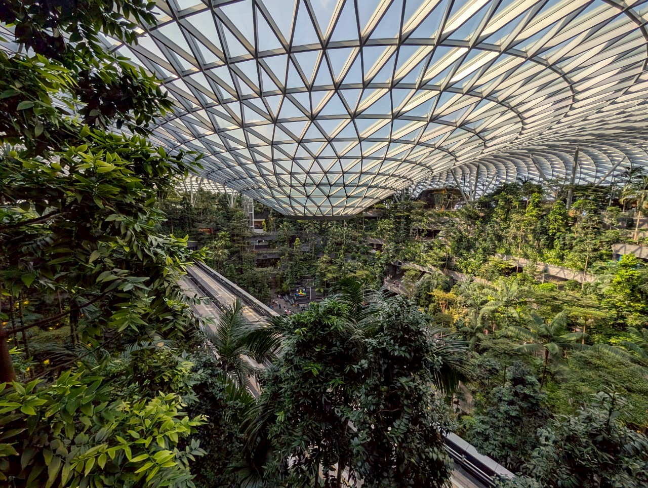 新加坡景點【新加坡樟宜國際機場 星耀樟宜】-擁有世界最大的室內雨瀑布、機場花園、星空花園,多達300家餐廳與商店,新加坡讓機場也成為必去景點。 - 第5張圖 新加坡景點【新加坡樟宜國際機場 星耀樟宜】-擁有世界最大的室內雨瀑布、機場花園、星空花園,多達300家餐廳與商店,新加坡讓機場也成為必去景點。