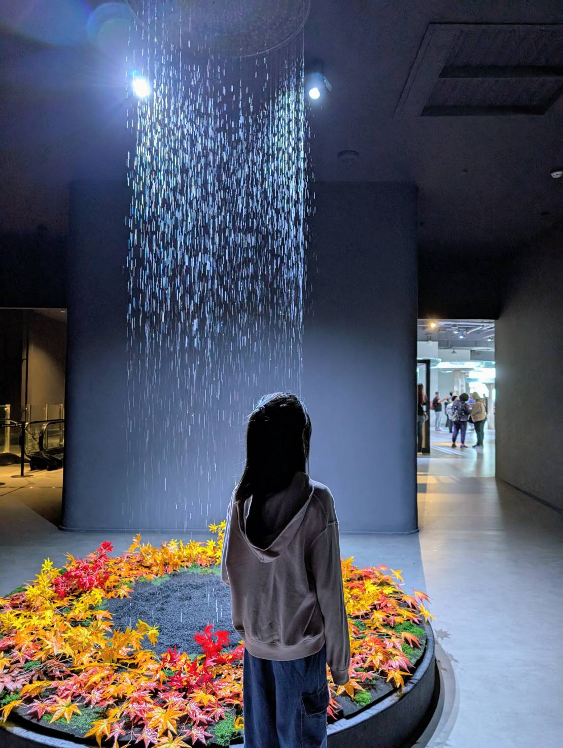 中部首座水族館【台中海洋館】-梧棲觀光漁港旁的親子景點，五層樓高，設有全台首座涉水體驗區。多元視角，沉浸式的參觀體驗。