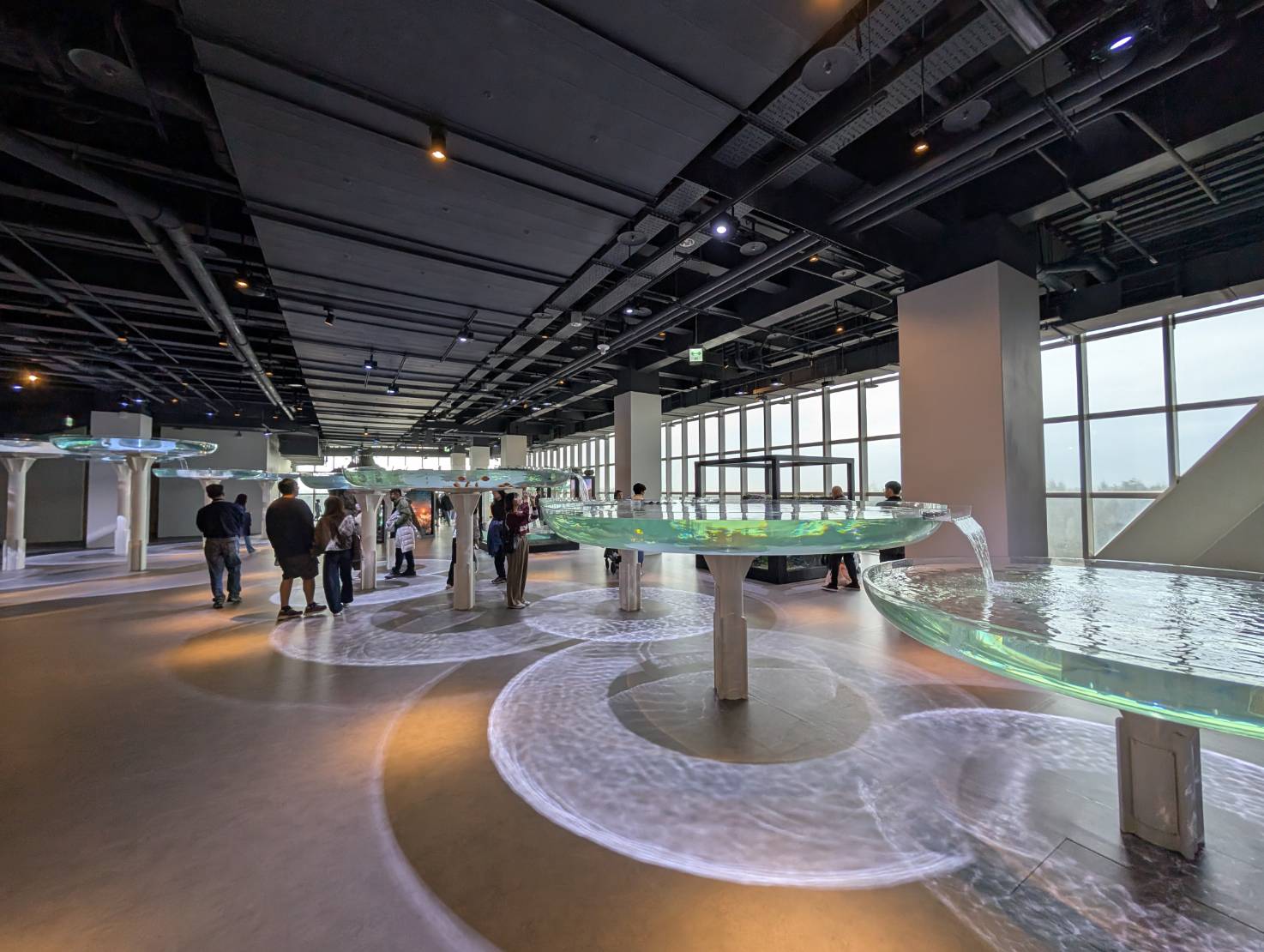 中部首座水族館【台中海洋館】-梧棲觀光漁港旁的親子景點，五層樓高，設有全台首座涉水體驗區。多元視角，沉浸式的參觀體驗。