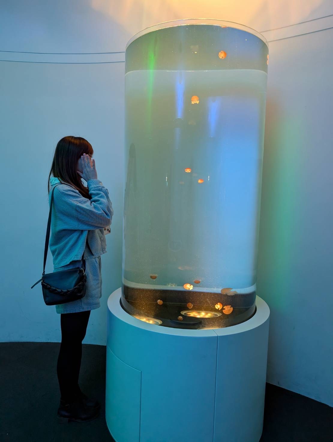 中部首座水族館【台中海洋館】-梧棲觀光漁港旁的親子景點，五層樓高，設有全台首座涉水體驗區。多元視角，沉浸式的參觀體驗。