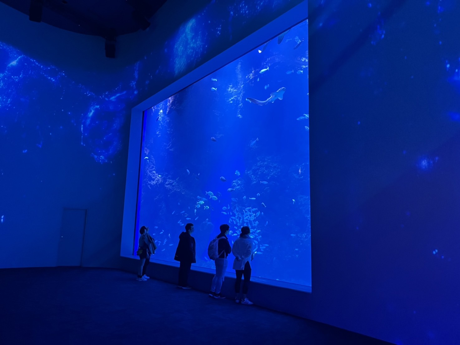 中部首座水族館【台中海洋館】-梧棲觀光漁港旁的親子景點，五層樓高，設有全台首座涉水體驗區。多元視角，沉浸式的參觀體驗。