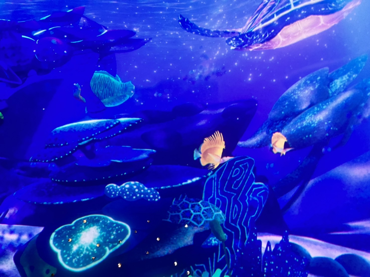 中部首座水族館【台中海洋館】-梧棲觀光漁港旁的親子景點，五層樓高，設有全台首座涉水體驗區。多元視角，沉浸式的參觀體驗。