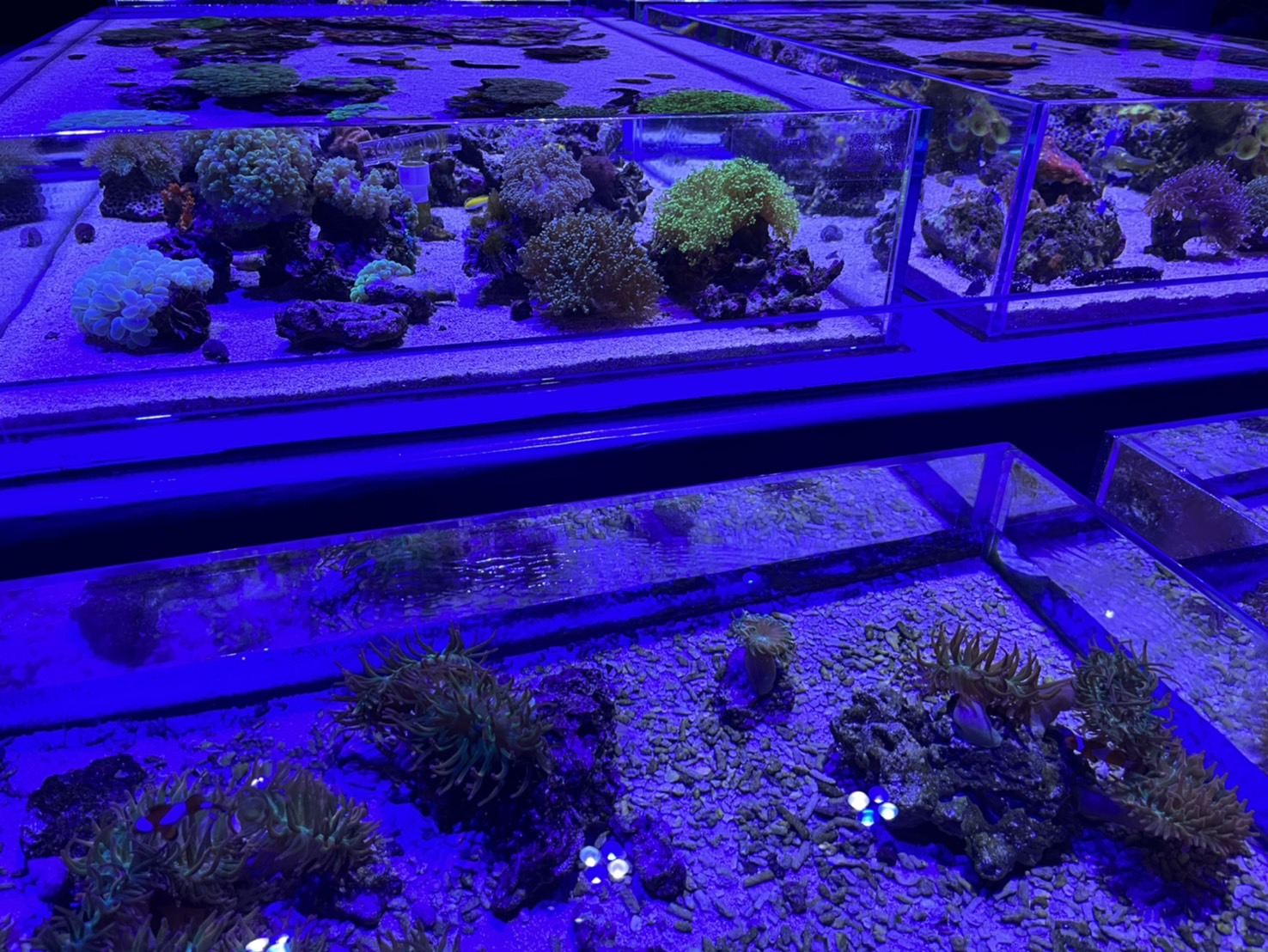 中部首座水族館【台中海洋館】-梧棲觀光漁港旁的親子景點，五層樓高，設有全台首座涉水體驗區。多元視角，沉浸式的參觀體驗。