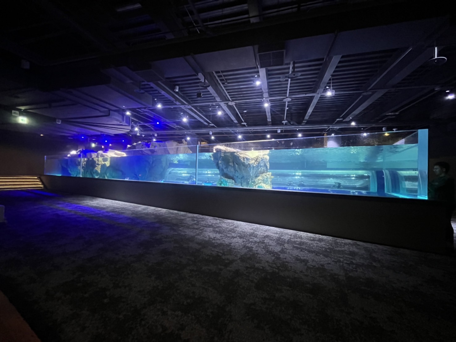 中部首座水族館【台中海洋館】-梧棲觀光漁港旁的親子景點，五層樓高，設有全台首座涉水體驗區。多元視角，沉浸式的參觀體驗。