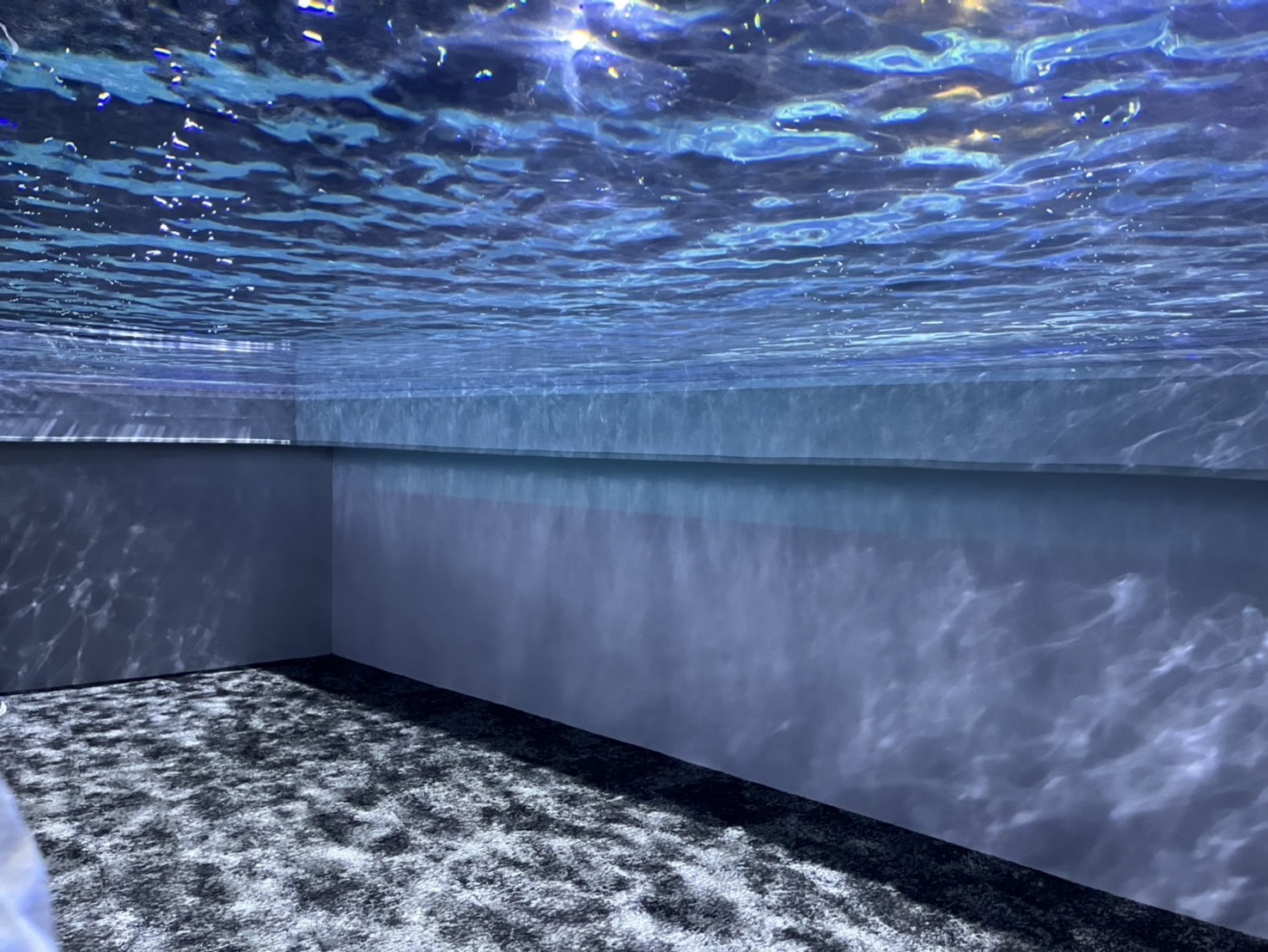 中部首座水族館【台中海洋館】-梧棲觀光漁港旁的親子景點，五層樓高，設有全台首座涉水體驗區。多元視角，沉浸式的參觀體驗。