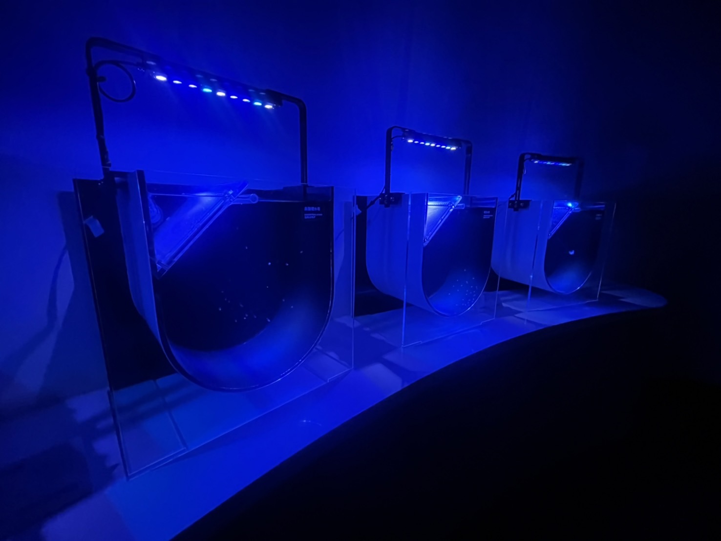 中部首座水族館【台中海洋館】-梧棲觀光漁港旁的親子景點，五層樓高，設有全台首座涉水體驗區。多元視角，沉浸式的參觀體驗。