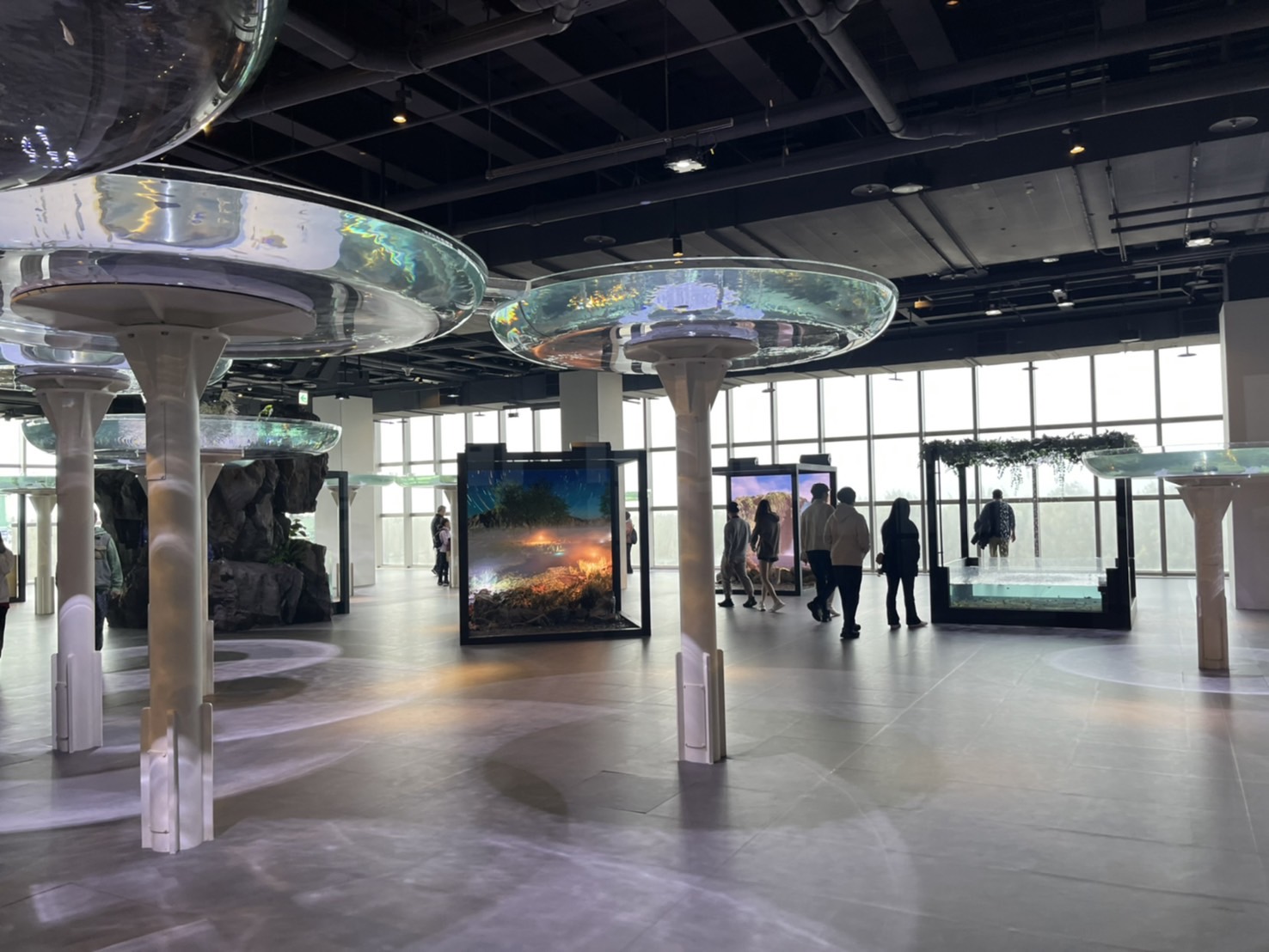 中部首座水族館【台中海洋館】-梧棲觀光漁港旁的親子景點，五層樓高，設有全台首座涉水體驗區。多元視角，沉浸式的參觀體驗。