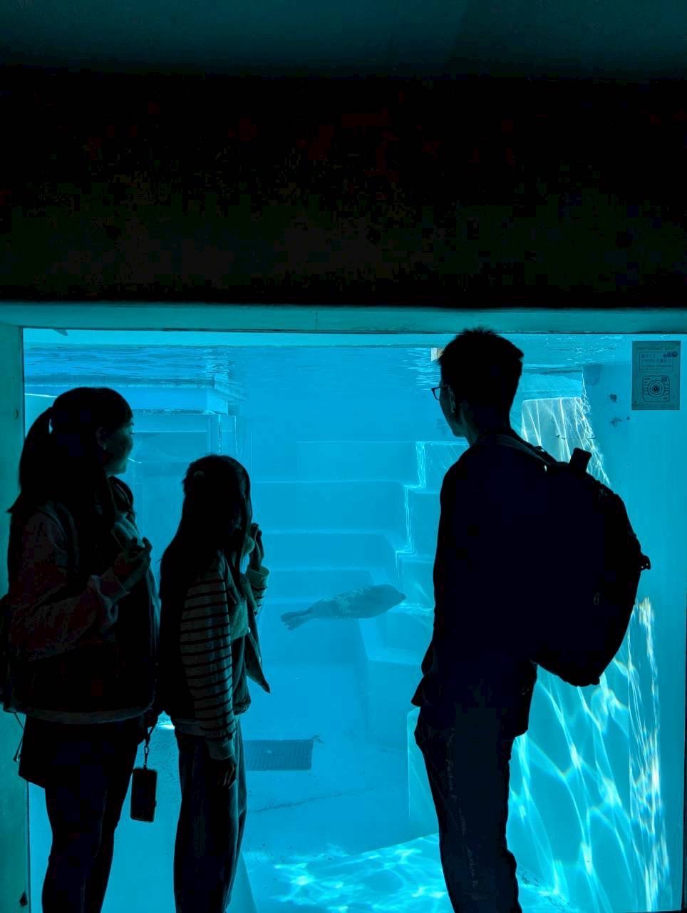 2026日本熊本+福岡 6天5夜自由行-搭乘星宇航空，一次解鎖熊本與福岡，再遊湯布院。入住桃園機場假日酒店、熊本城景觀舒適酒店、十字生活博多天神飯店、Wing國際飯店Select博多站前以及熊本花開飯店。行程與費用總覽。