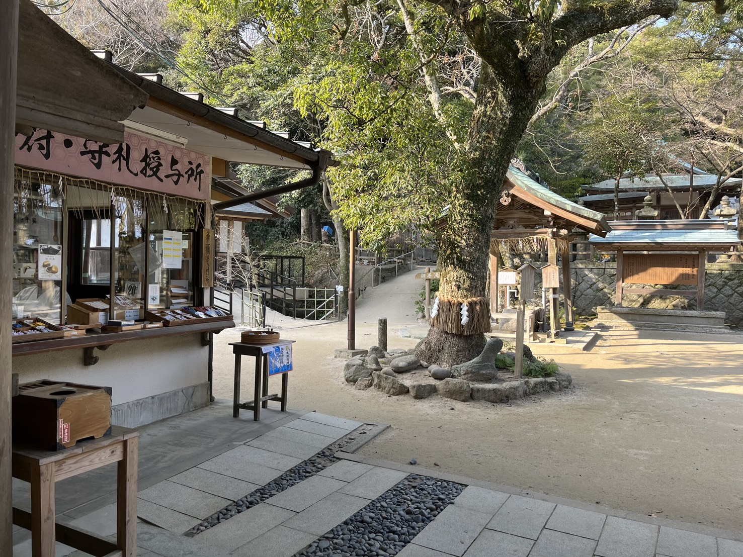 福岡自由行景點推薦【志賀島】【莒崎宮】，晚餐必吃【前田屋西中洲店牛腸鍋】。福岡一日遊行程攻略，海景、神社、美食一次滿足。