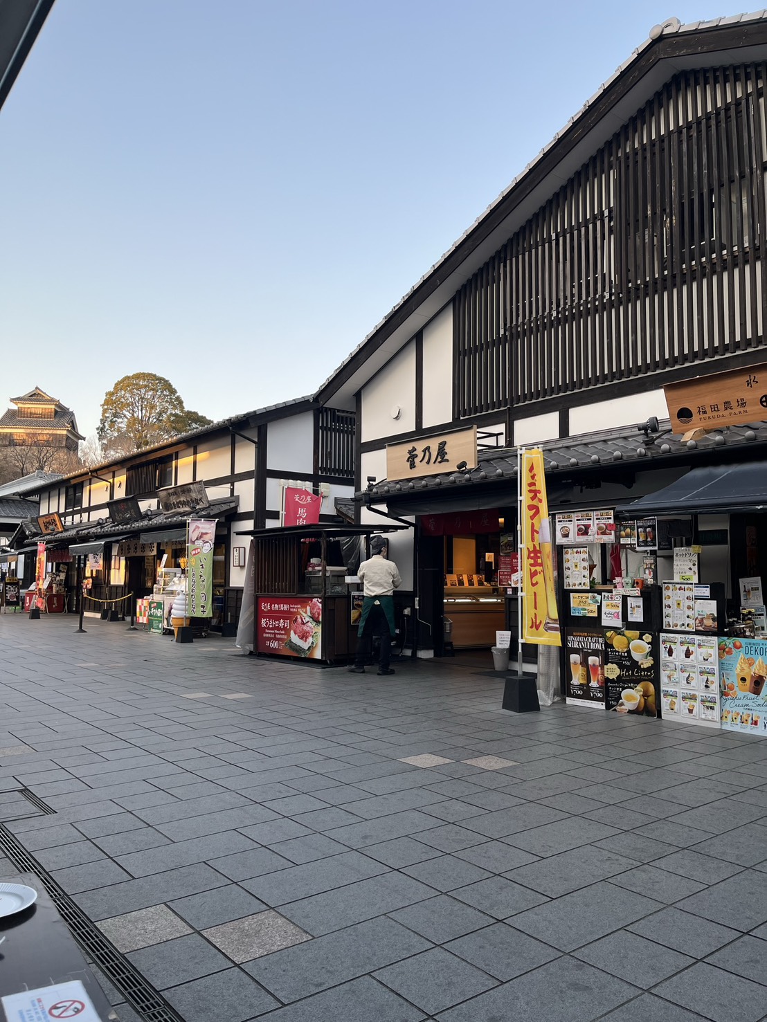 熊本自由行一日遊行程-漫步【熊本城】,米其林必比登推薦【勝烈亭】晚餐,【下通商店街】逛街,美食購物一次滿足! - 第5張圖 熊本自由行一日遊行程-漫步【熊本城】,米其林必比登推薦【勝烈亭】晚餐,【下通商店街】逛街,美食購物一次滿足!